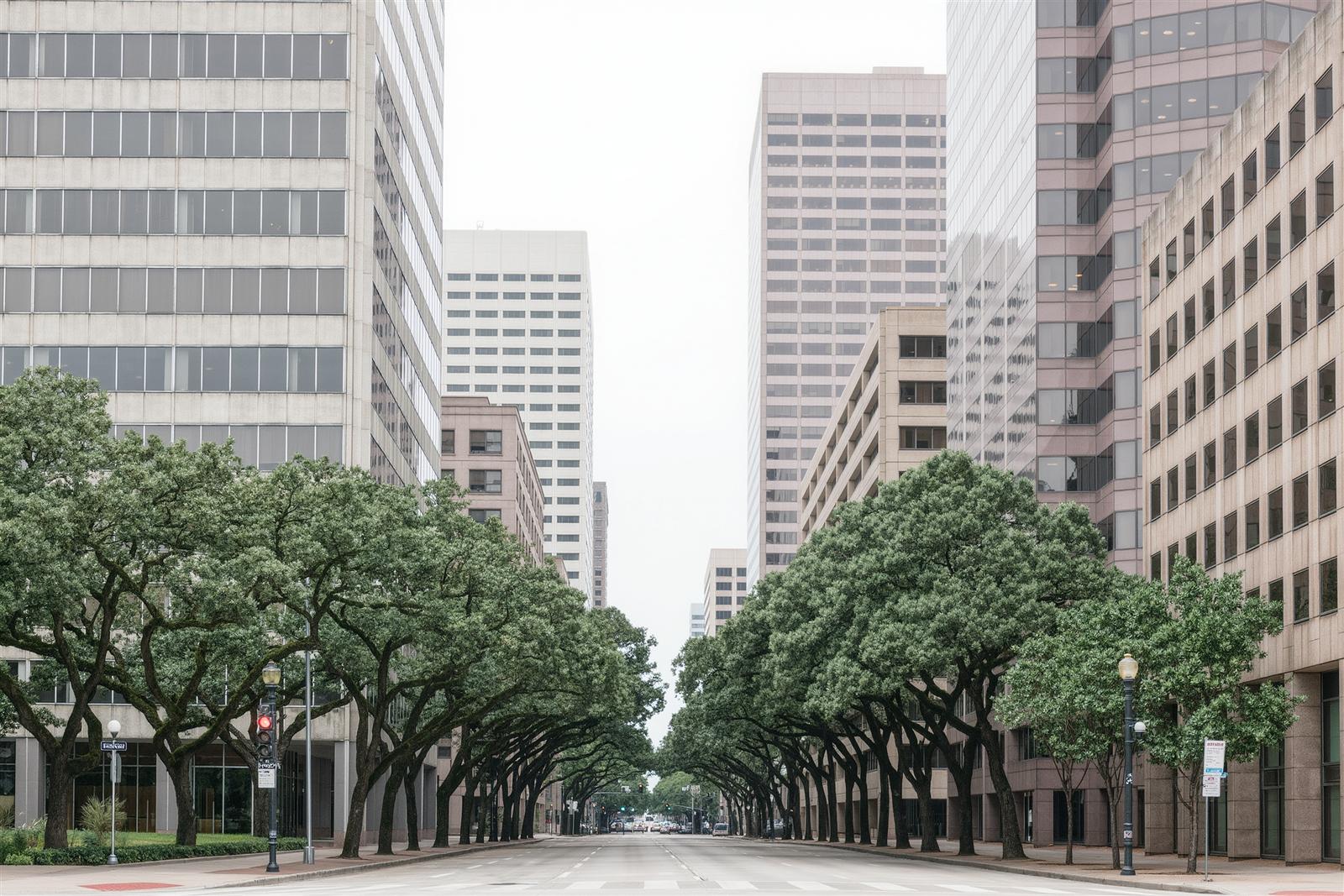 Mid-rise office towers rising behind rows of large live oak trees along a wide boulevard in the Galleria and Uptown area