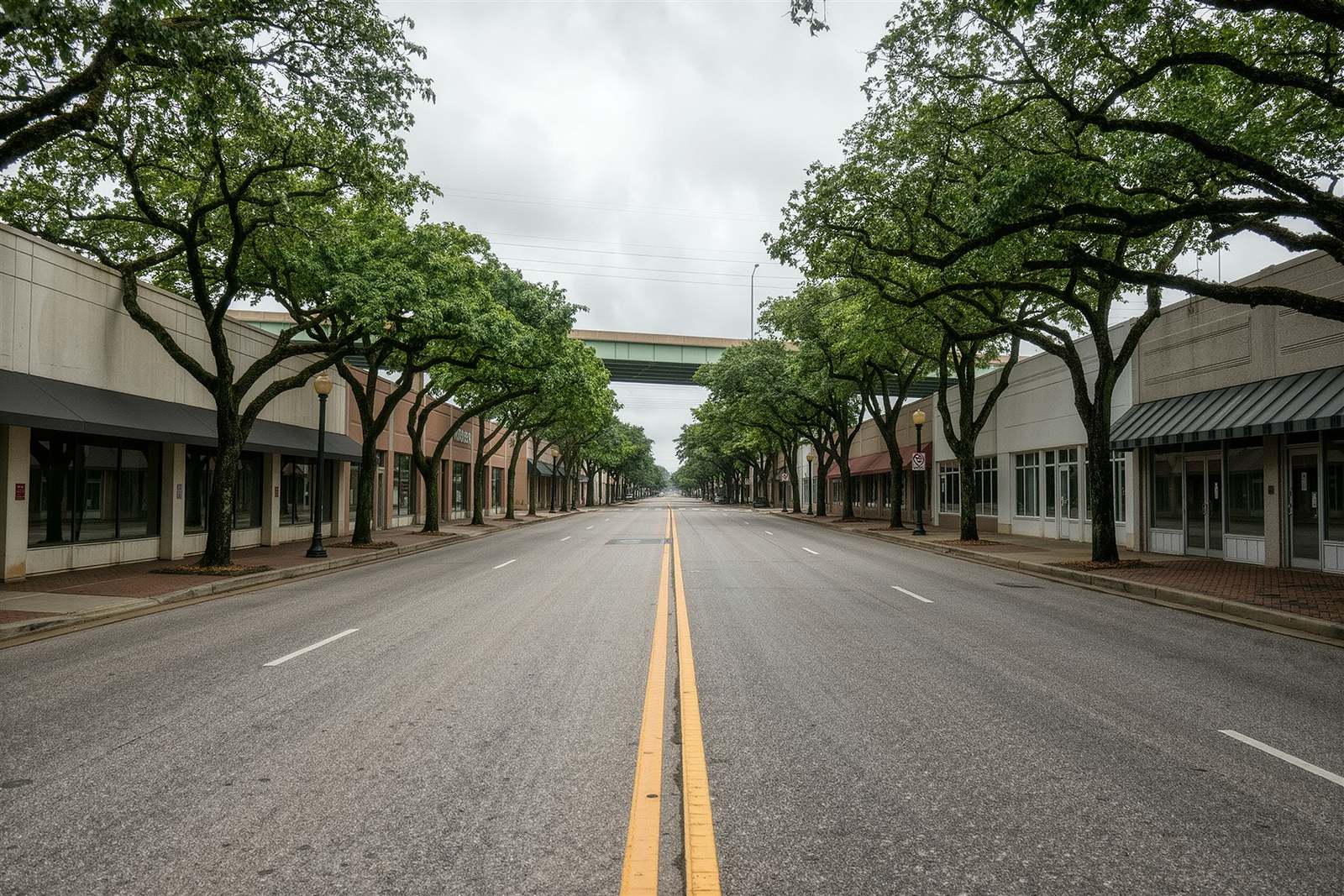 A wide empty Houston street lined with live oaks and low commercial buildings with a freeway overpass in the distance