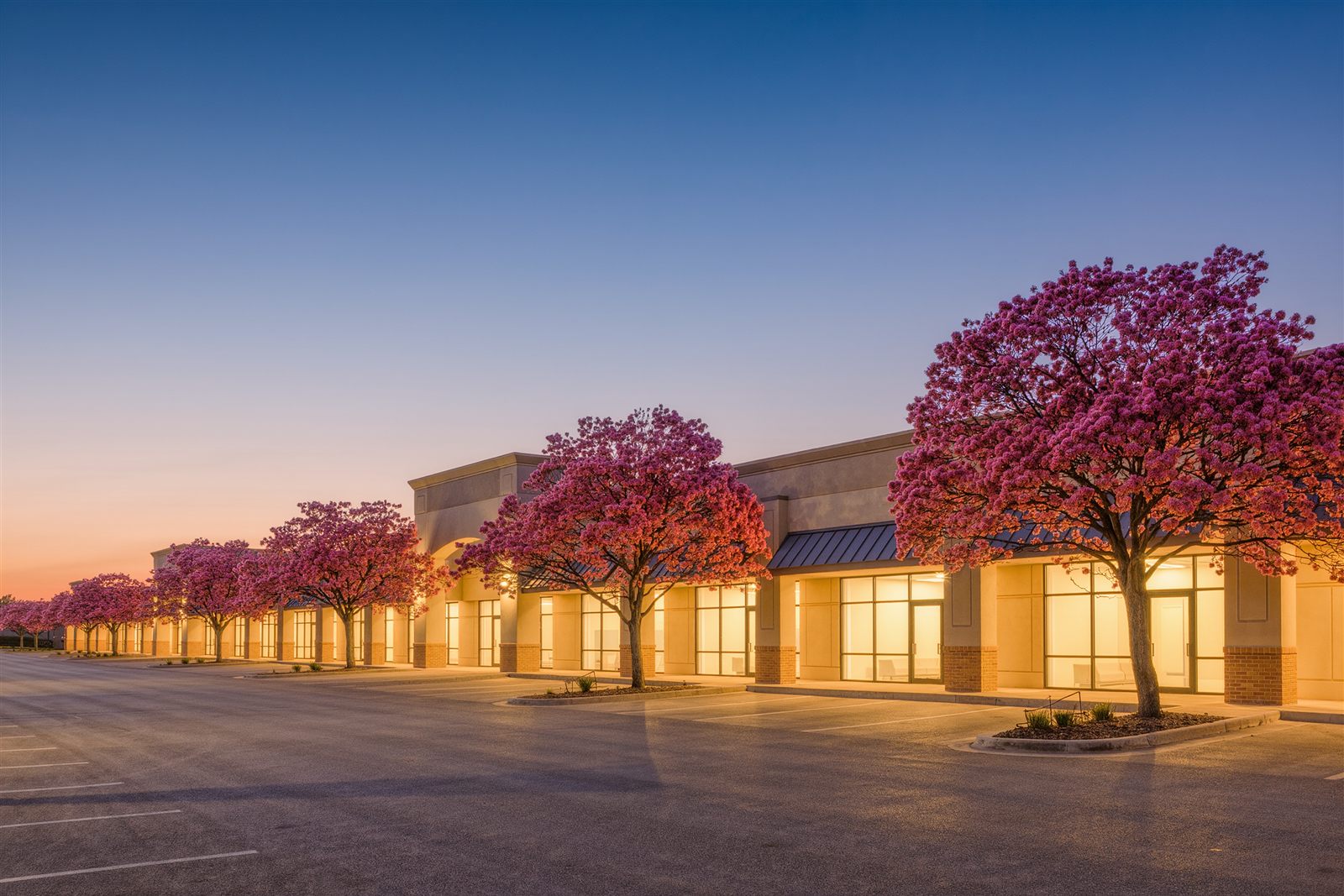 A suburban retail strip center glowing at dusk with blooming crape myrtle trees and an empty parking lot