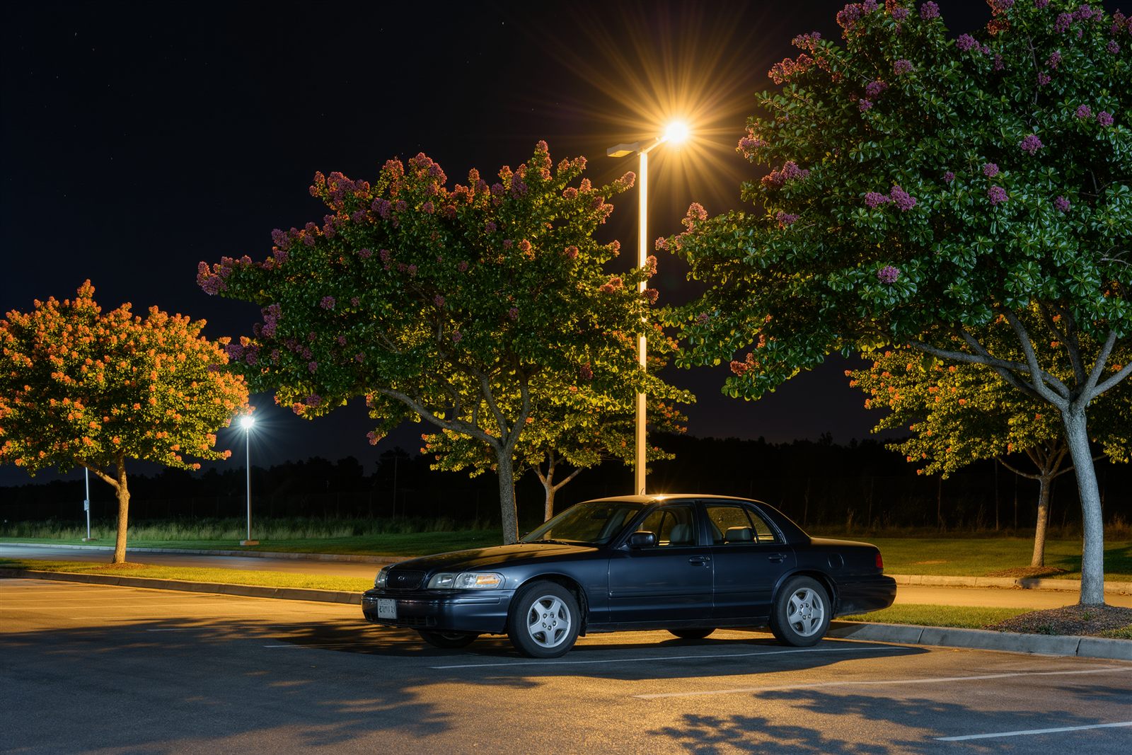 A plain dark sedan parked at the edge of a suburban business park lot at night under street lights and crape myrtle trees
