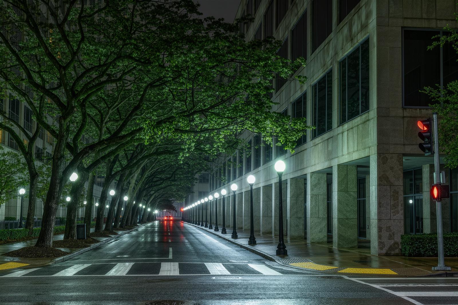 An empty crosswalk on a quiet Houston downtown street at night with live oak trees and lit lampposts along the curb